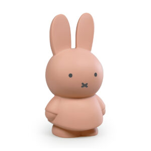 קופת חסכון MIFFY POWDER